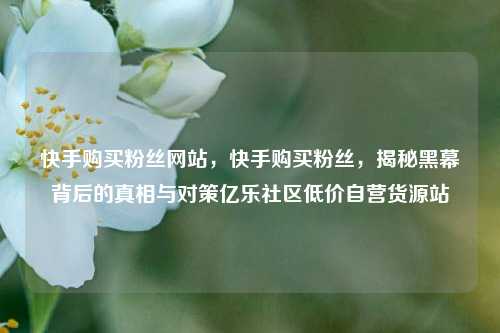 快手购买粉丝网站，快手购买粉丝，揭秘黑幕背后的真相与对策亿乐社区低价自营货源站  第1张