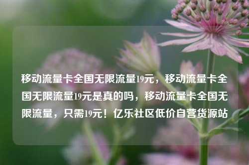 移动流量卡全国无限流量19元，移动流量卡全国无限流量19元是真的吗，移动流量卡全国无限流量	，只需19元！亿乐社区低价自营货源站  第1张