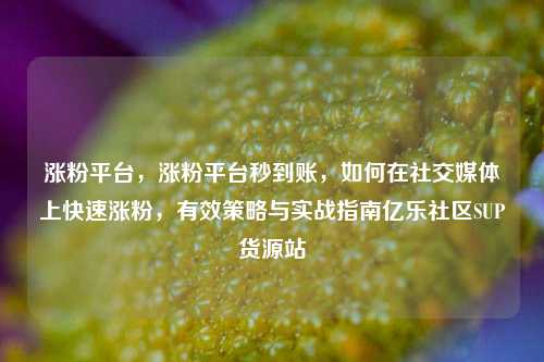 涨粉平台，涨粉平台秒到账，如何在社交媒体上快速涨粉	，有效策略与实战指南亿乐社区SUP货源站  第1张